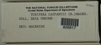 Image Associated With the Occurence